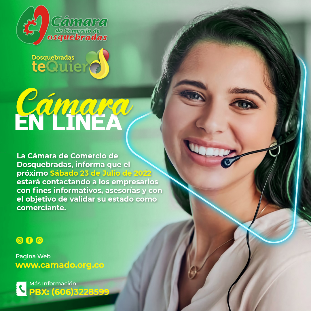 camaraenlinea