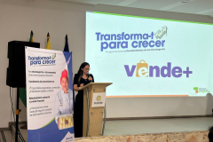 vendemasytransformat25-2