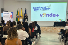 vendemasytransformat25-3