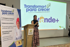 vendemasytransformat25-5