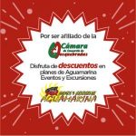 imagen (10)