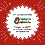 imagen (2)