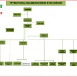 organigrama