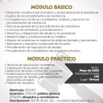 diplomado-Insolvencia