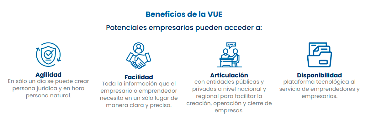 Información adicional VUE
