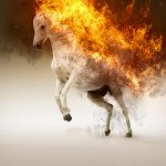 burning_horse.jpg